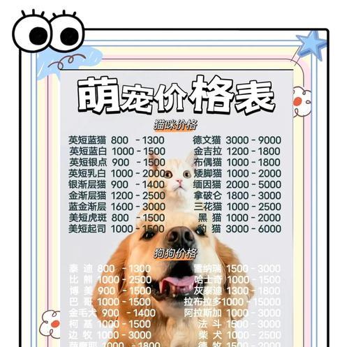 开宠物店多久能盈利？（成功的关键是什么？）