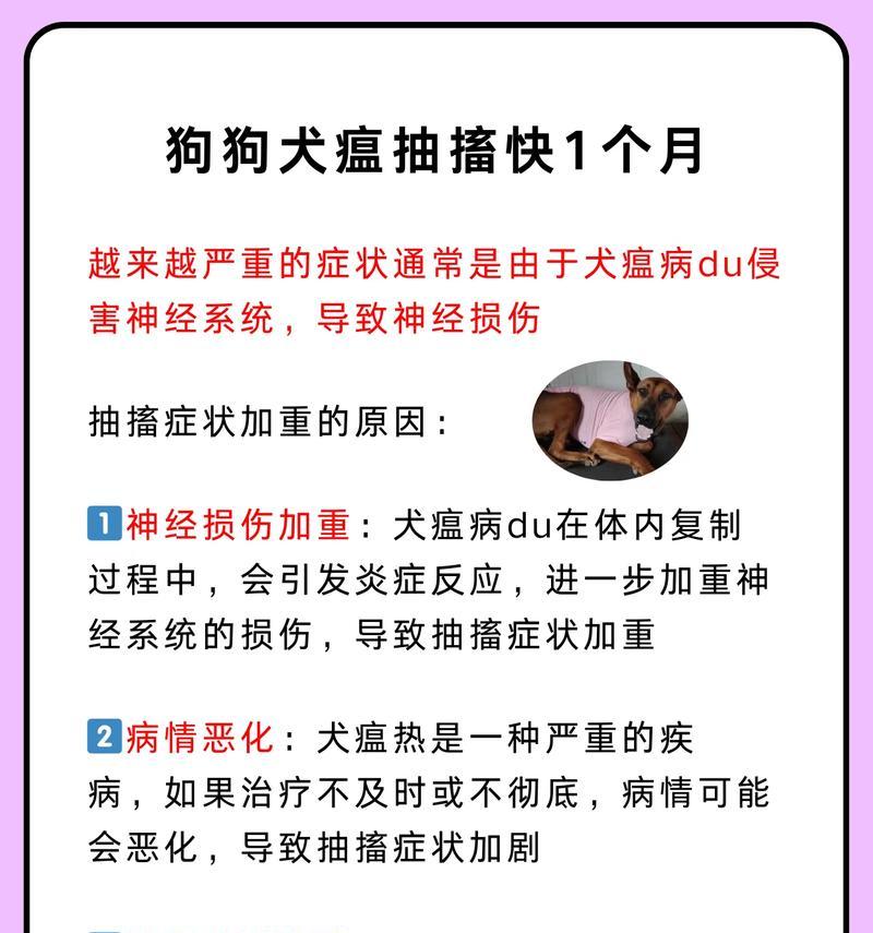 小狗患上犬瘟热后的生命倒计时（以犬瘟热的小狗多久会死？）