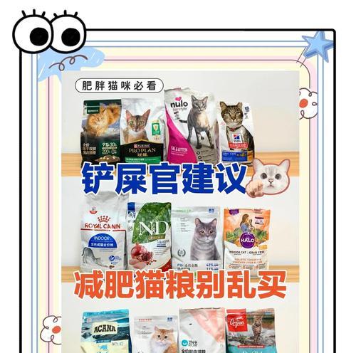揭秘猫咪为何喜欢刨食盆里的猫粮（猫粮刨食现象解析及解决方法）