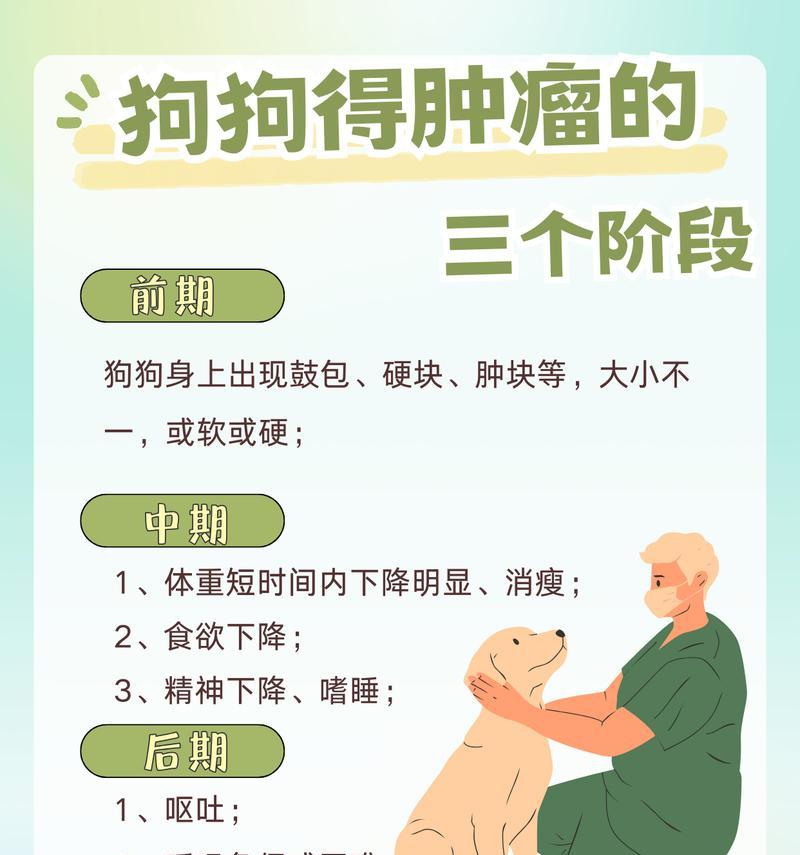 狗狗肝硬化后期症状详解（探索狗狗肝硬化晚期的临床表现及治疗方法）