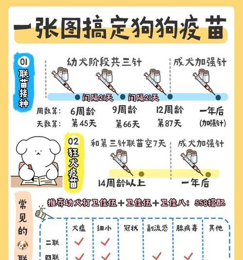 小奶狗疫苗接种指南（了解小奶狗接种疫苗的最佳时间和方法）