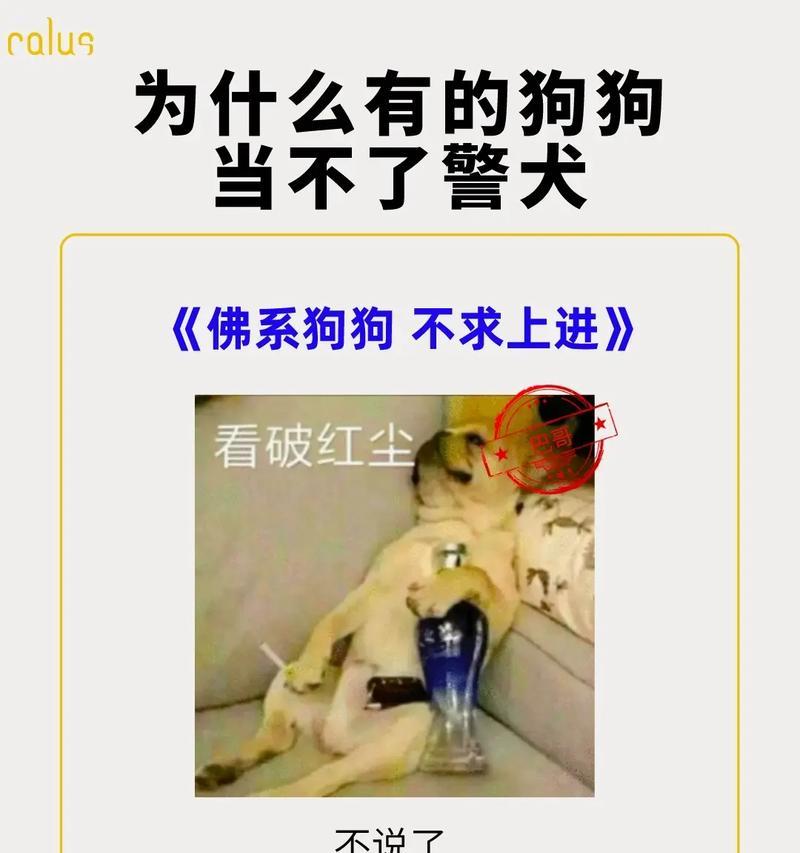 训练狗狗找物的方法（用科学的训练技巧，培养你的狗狗成为一名优秀的物品搜索专家）