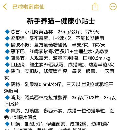 猫咪饲养禁忌——这些病人要慎重选择（猫咪饲养需谨慎，以下病人慎勿养猫）