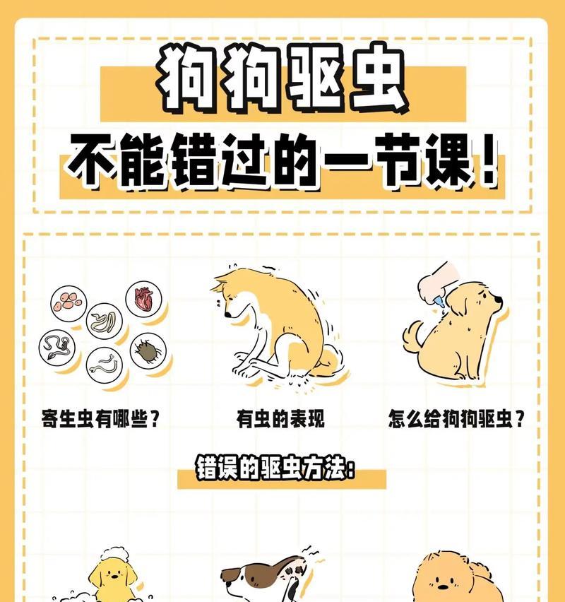 狗狗不吃生食物多久驱一次虫（宠物狗生食饮食频率与驱虫周期的关系）