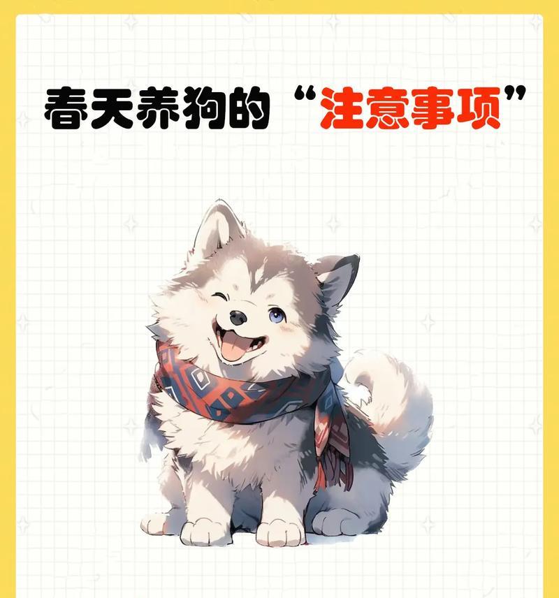 买狗注意事项（选择合适的犬种是关键）