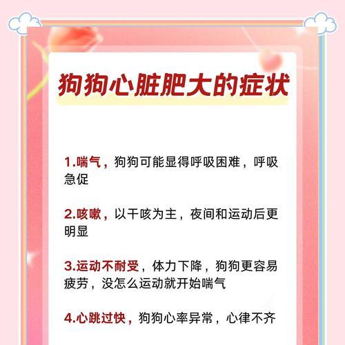 博美暴躁性格的应对方法（探究狗狗应激反应与主人互动的重要性）