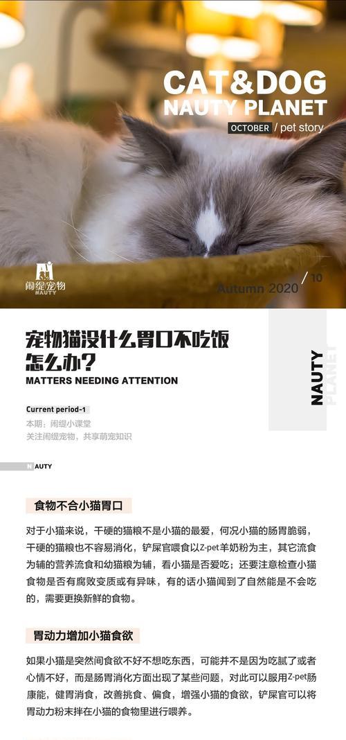 如何喂养一只刚满月的幼猫（流食是关键，关怀与爱心是基础）