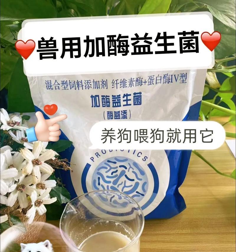 初生狗狗的饮食需求（营养健康的关键在于早期饮食）