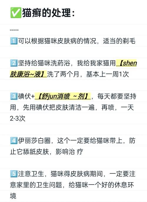以猫咪得猫藓多久能好？（探讨猫藓治疗的时效与关键因素）