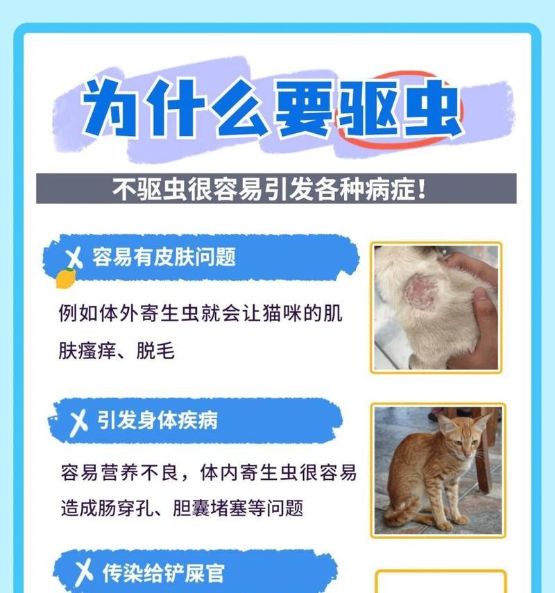 小猫驱虫后会拉稀多久？（了解小猫驱虫后的拉稀周期及处理方法）