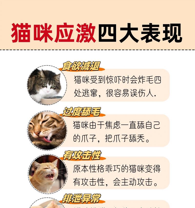 猫剃毛（揭秘猫的耐热极限与剃毛的真相）