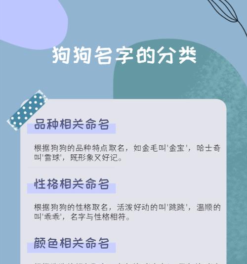 狗狗取名之美——15个好听的狗名字推荐（让我们一起寻找属于狗狗的独特名字！）