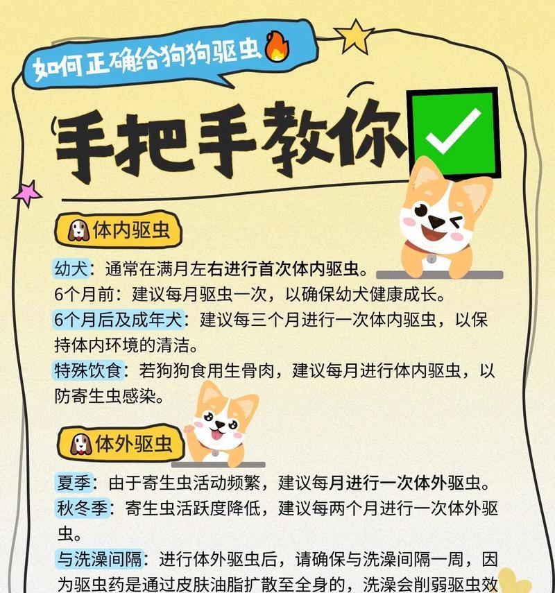 狗狗打虫的时间和方法（了解狗狗打虫的周期和有效措施）