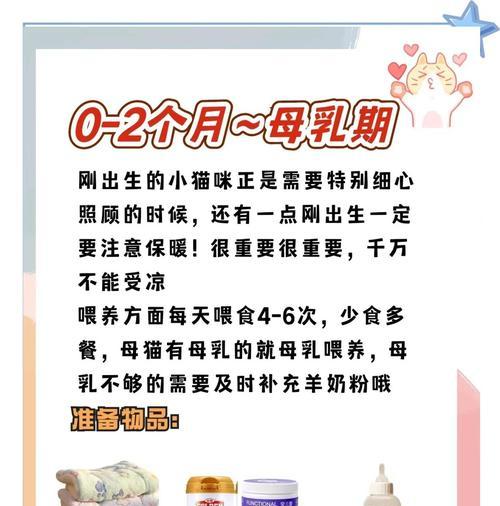 刚满月小猫的喂养频率（了解刚满月小猫的喂养时间间隔与注意事项）