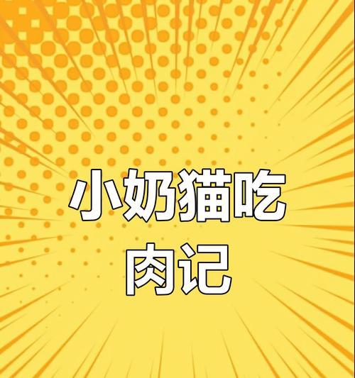 猫咪饮食需注意（了解喂养时间和注意事项，让猫咪的饮食更健康）