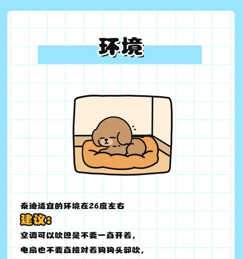 泰迪犬夏天的防暑小技巧（了解泰迪犬的热敏感性及应对中暑的方法）