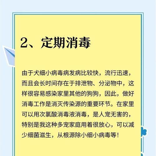 狗狗细小消毒的重要性及方法（如何定期对狗狗进行细小消毒，）