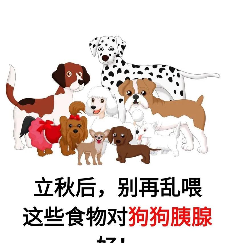 小心！这8种食物狗狗不能吃（保护狗狗健康的必知食物禁忌）