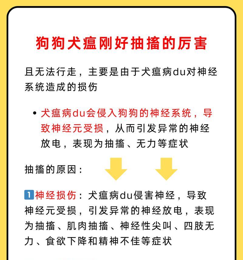 狗瘟康复周期及关键因素分析（探究狗瘟康复所需的时间和关键因素，为宠物主人提供参考）