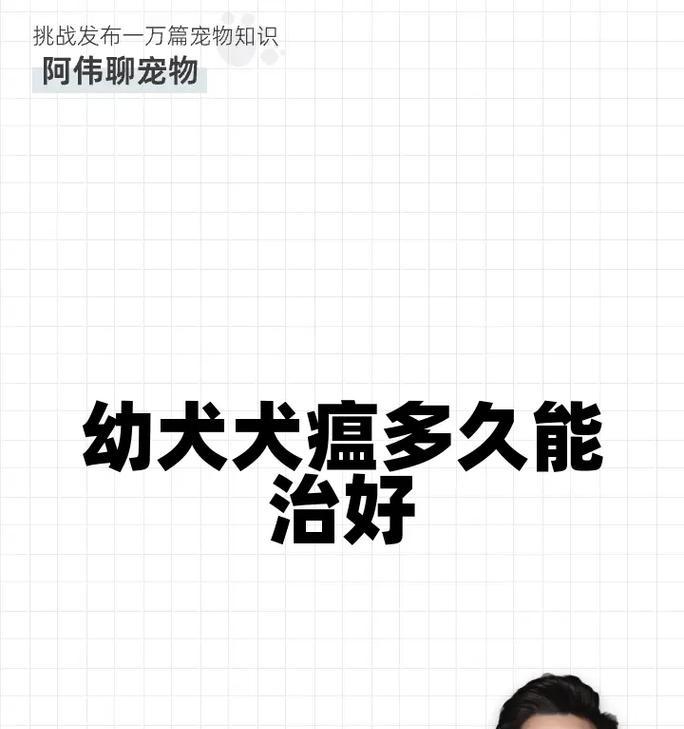 犬瘟的危险期和预防措施（犬瘟病毒的传播途径和疫苗接种时间表）
