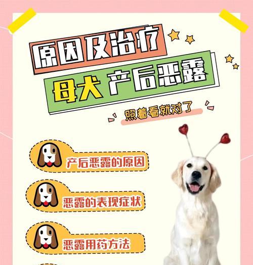 狗分娩注意事项（了解狗分娩的关键点，确保犬妈妈和宝宝的顺利产下与健康成长）