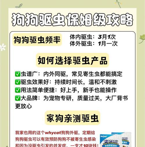 如何控制狗狗的体重？（五步教你让狗狗保持理想体型）