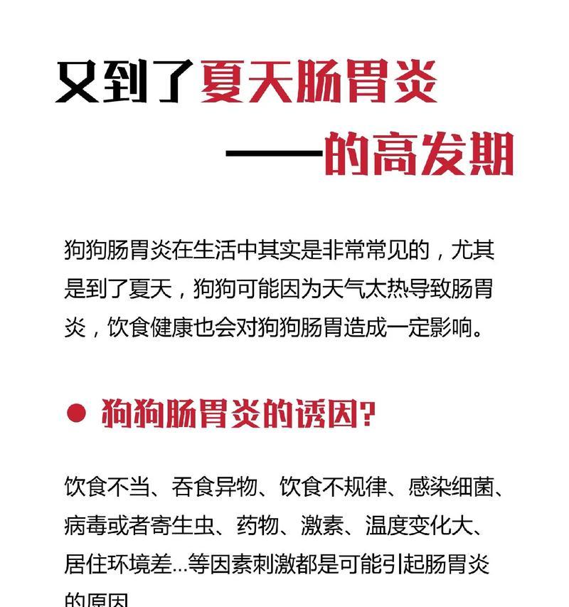 狗狗得了肠胃炎该如何治疗？（注意事项和有效措施，让狗狗尽快康复）