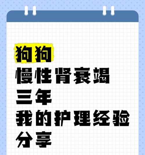 宠物狗肾衰竭的八大原因，宠主要当心（了解这些原因，保护你的爱犬肾脏健康）