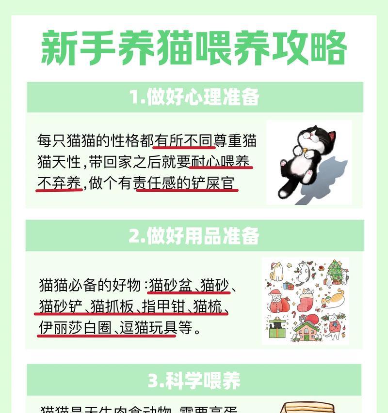 养猫所需预算揭秘（新手养猫需要准备多少钱？）