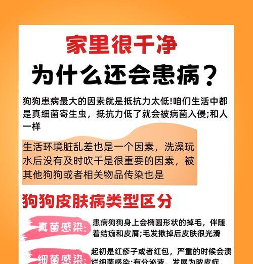 狗狗皮肤为什么会变黑？（黑化现象的原因及健康解决方案）
