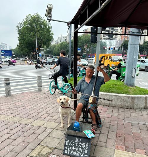 狗狗是否色盲？导盲犬如何过马路？（解密狗狗的视觉世界，揭秘导盲犬过马路的秘密）