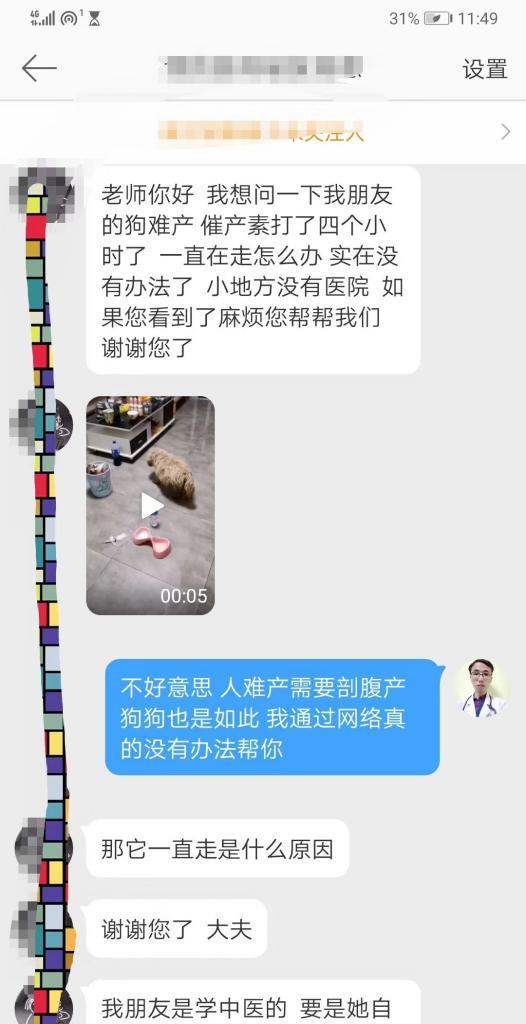 狗剖腹产后流血多久来月经？解析产后恢复周期（了解狗狗产后恢复周期，关注健康变化）