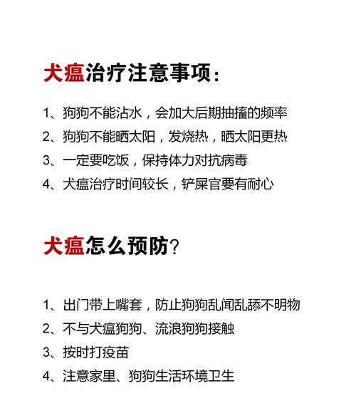 边牧犬瘟的症状及预防措施（了解边牧犬瘟的主要症状以及如何预防这种疾病）