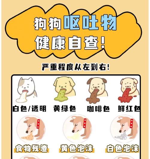 狗狗拉肚子（狗狗腹泻应对方法以及饮食调整的重要性）