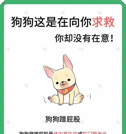 狗狗撒尿的秘密解析（为什么狗狗总是抬起腿？）