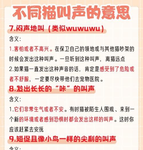 探秘猫咪叫声的心情密码（如何根据猫咪叫声判断它的心情？）