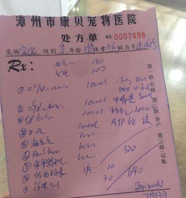 狗狗便便规律揭秘（探寻狗狗排便频率的奥秘）
