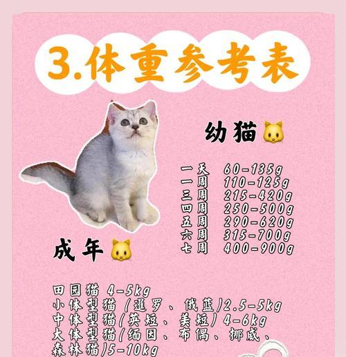 小猫养多久会胖？（猫咪肥胖的原因、预防与控制）