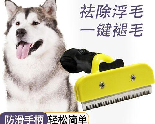 冬天阿拉斯加的澡堂时间（淋浴时间与阿拉斯加气候的关系）