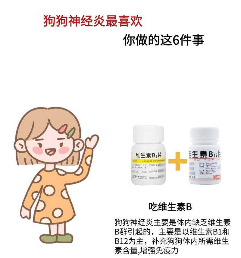 宠物狗毛发靓丽的6种食物（助力你的狗狗拥有美丽的毛发，）