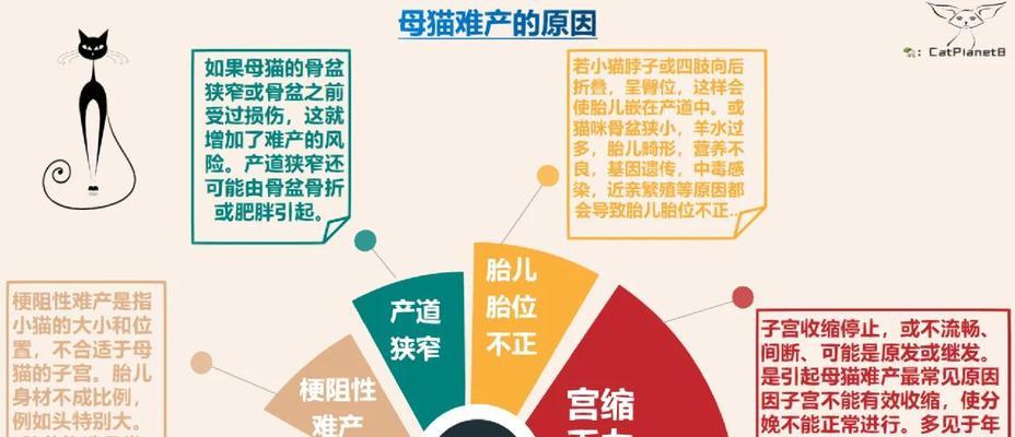 难产的原因及处理方法（深入探讨难产的情况、原因和应对措施）