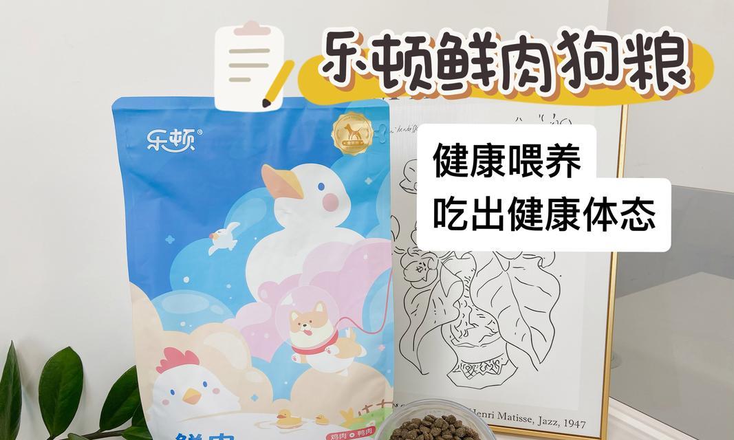 三个月大的狗狗该如何合理饮食？（早期狗粮喂养的注意事项和建议）