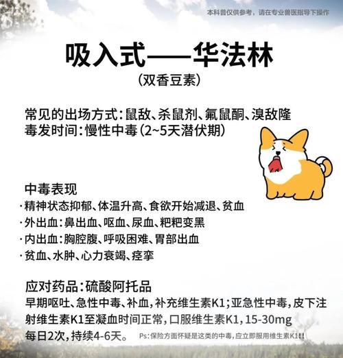 小狗中毒发作时间及预防方法（了解小狗中毒发作的时间，保护爱宠的健康安全）
