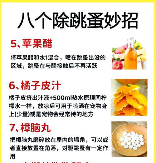 成犬体外驱虫频率及注意事项（了解成犬驱虫时间间隔的关键点及注意事项）
