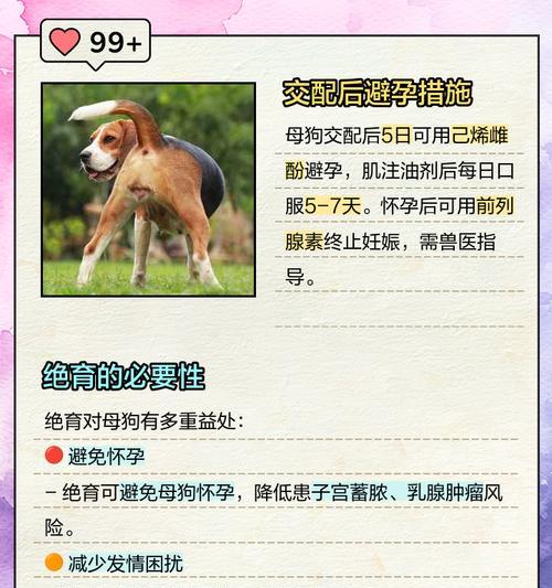 犬产后乳房不足的原因及解决方案（母犬产奶不足的主要因素和解决办法）