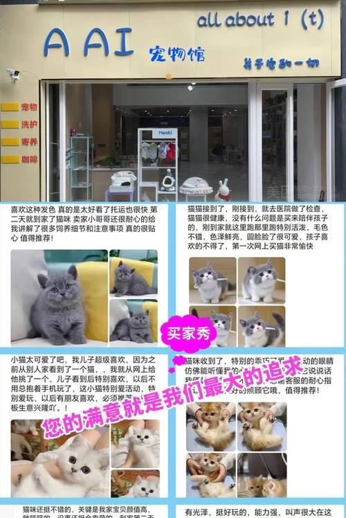 宠物世界的多样性——品种纷呈的宠物大观园（从狗到猫，从鸟到鱼，宠物的选择无限多）