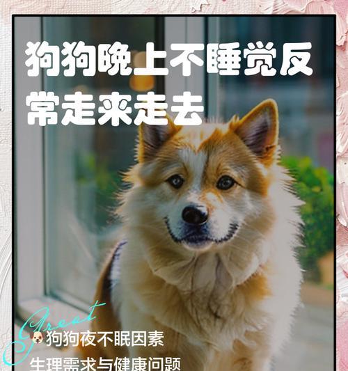 研究发现（揭秘小狗狗的夜晚梦乡，睡眠周期与成长的关系）