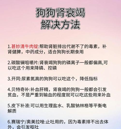 狗狗每天吃蛋黄的危害（蛋黄过量摄入可能导致肾衰竭）