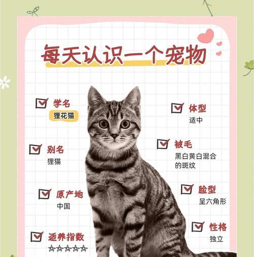 饲养猫一年的花费是多少？（详解猫咪饲养的花费，附价目表参考）