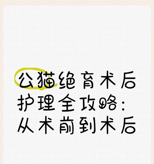 公猫绝育手术的重要性（保护猫咪健康的最佳选择）